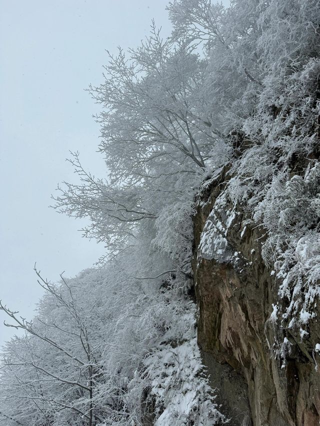 寶雞鳳縣嶺南公園|乘坐秦嶺小火車來看雪。