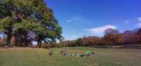 Autumn in a fairy tale! New York · Prospect Park!! 