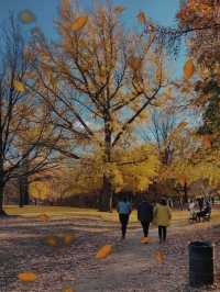 Explore the Beauty of Brooklyn's Prospect Park in Autumn