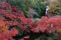 京都之另闢蹊徑｜楓葉花園大山崎山莊美術館。