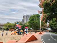 福建福州閩江公園 ｜ 探秘閩江風光，領略榕城魅力。