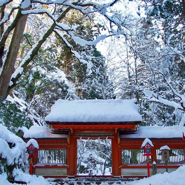 京都最值得打卡的貴船神社✨