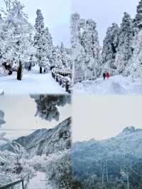 清遠金子山旅遊避雷攻略。