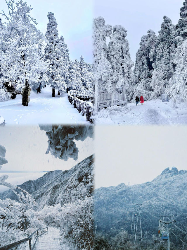 清遠金子山旅遊避雷攻略。