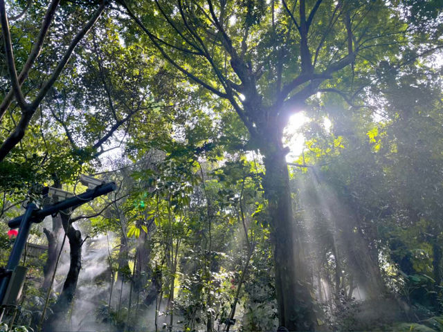 廈門園林植物園：都市中的綠色仙境