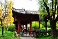 南郊公園｜一處隱藏在都市中的古色古香