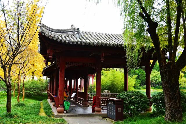 南郊公園｜一處隱藏在都市中的古色古香