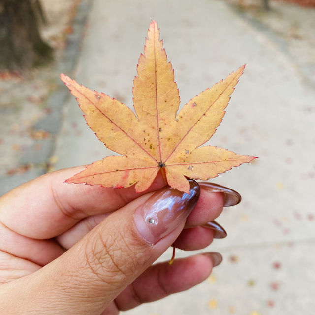 경주 여행 추천 코스 세계문화유산 불국사 
