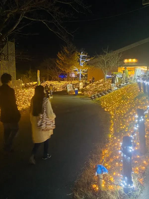 Visited the Sagamiko Light Show!!