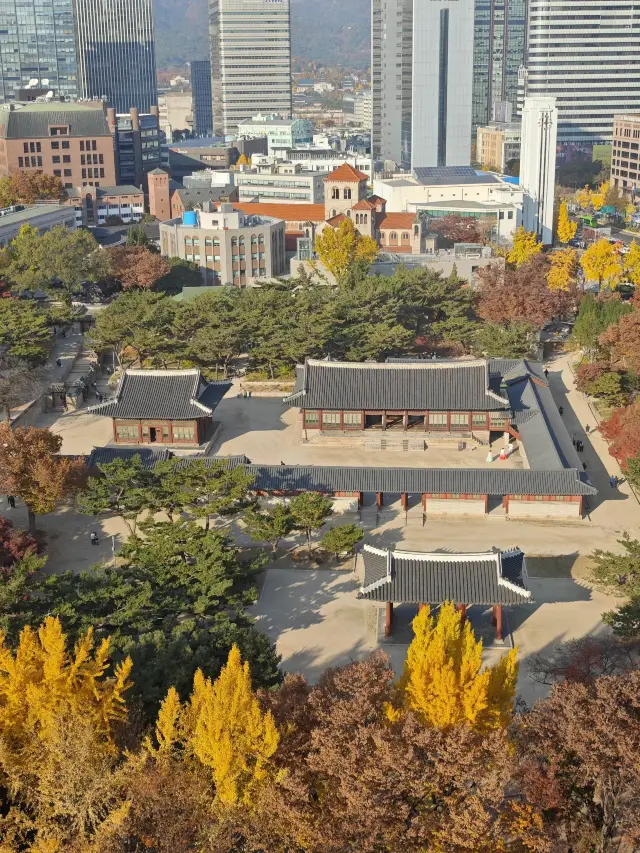4-Day Seoul Itinerary for Seniors