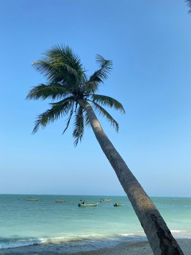 文昌必去十大景點新手必看附旅遊攻略|||