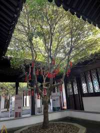 蘇州漫步:道前街-體育場路-定慧寺巷