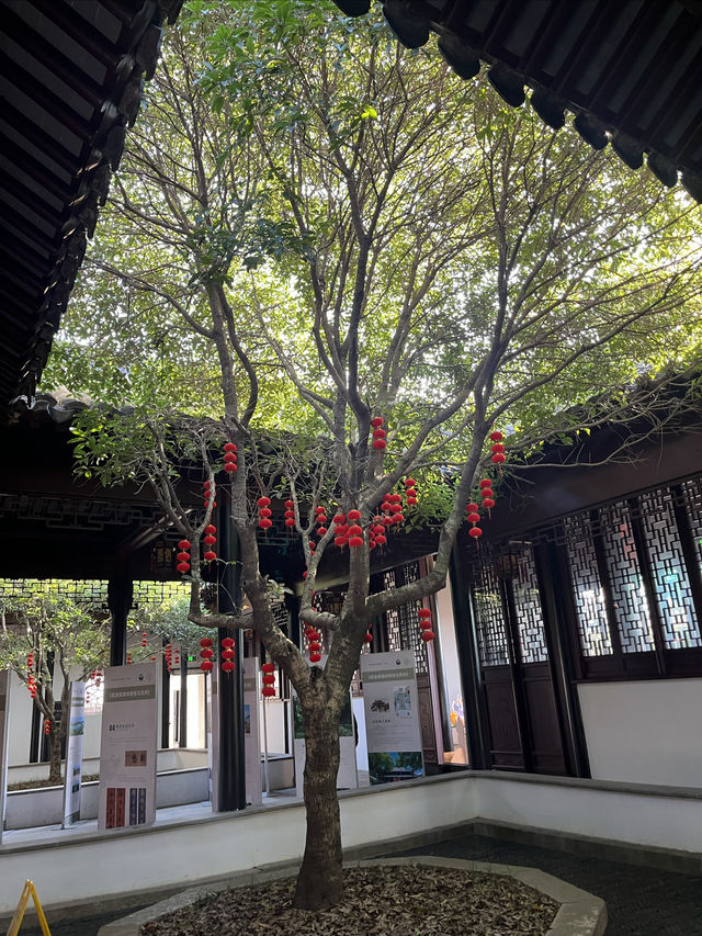 蘇州漫步:道前街-體育場路-定慧寺巷 蘇州漫步:道前街-體育場路-定慧寺巷