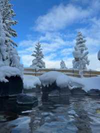 富良野冬季雪地野溫泉攻略