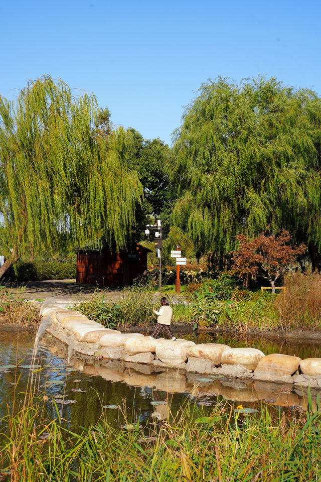 湖州乘船而入的公園 還有稻草人展
