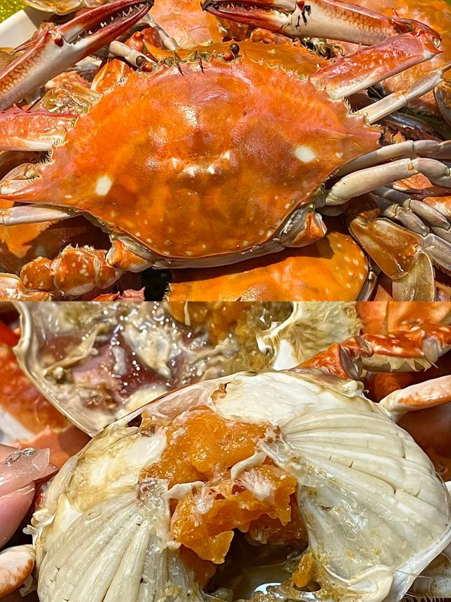 各位，這次來煙台，我真的很喜歡煙台萬豪酒店！