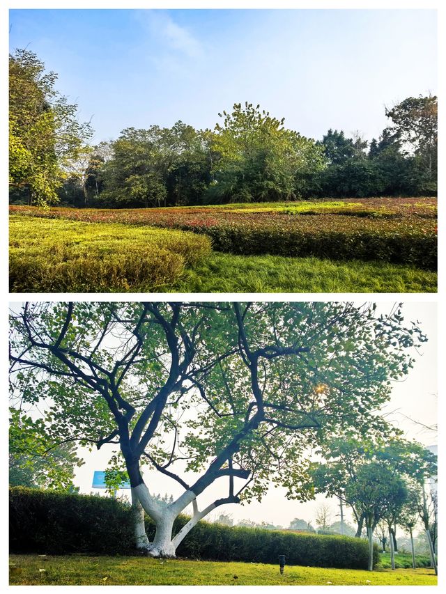 城市中的綠洲——薑家岩消防主題公園