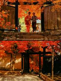 京都·二尊院紅葉的馬場｜體驗和服之美！