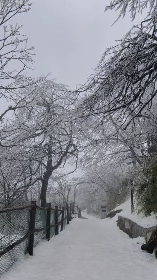 Mt Emei’s winter wonderland 