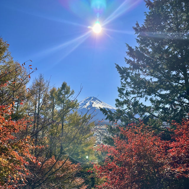 Seeing Mount Fuji from different angles