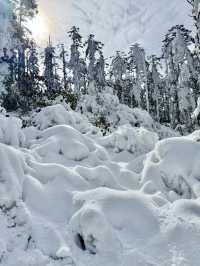 這個冬天，一起去瓦屋山看雪吧！