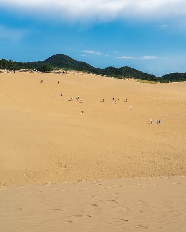 "日本的神秘沙漠：鳥取沙丘，一場大自然的驚喜！" 