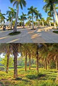 元謀鳳凰湖公園