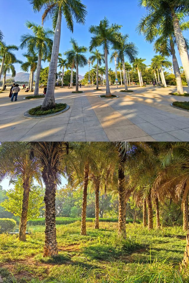 元謀鳳凰湖公園