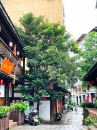 放棄福州市來橄欖之鄉🫒閩清縣 