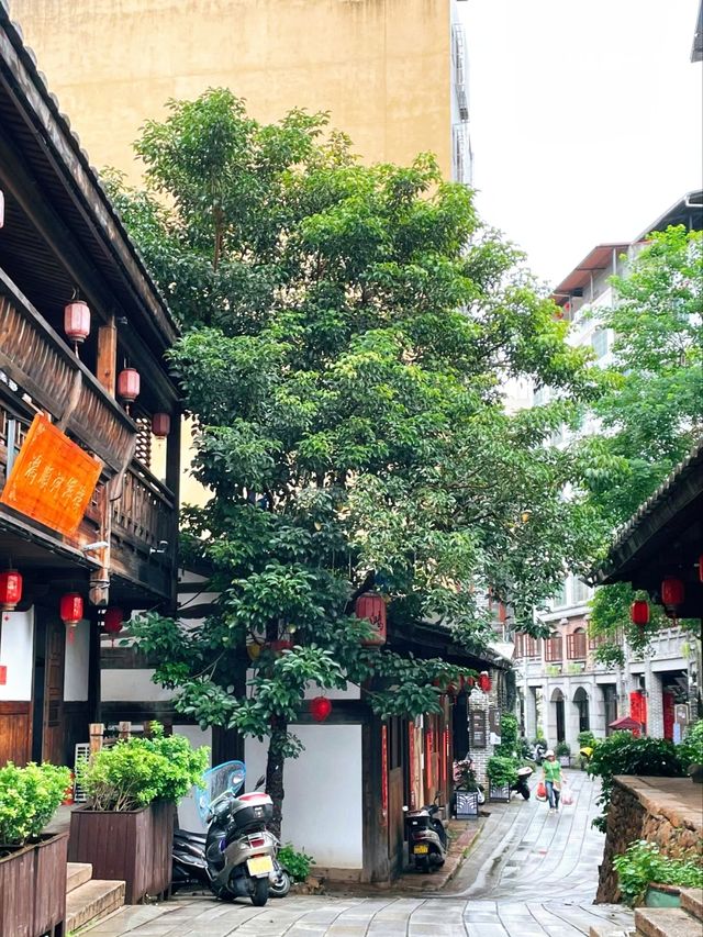 放棄福州市來橄欖之鄉🫒閩清縣 