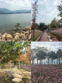 深圳白沙灣公園：有山有海有花的夢幻之地