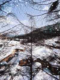 雪鄉，你可太適合當天往返一日遊了！
