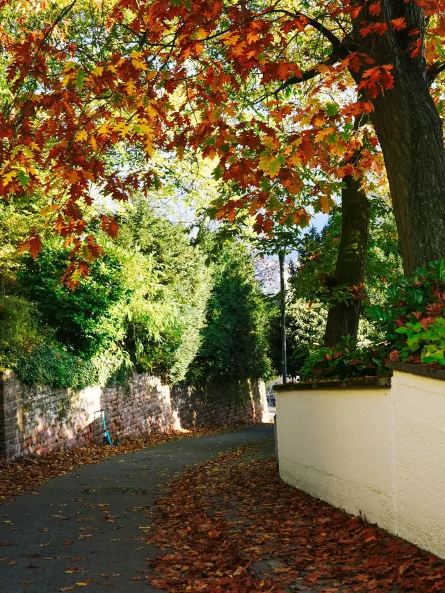 ทัวร์ยุโรป 9 วันเจาะลึก เที่ยวชมสถานที่สำคัญ