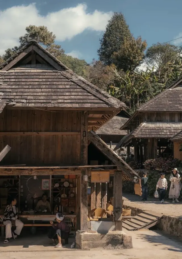 Jingmai Mountain: A Tea-Scented Wonderland in the Clouds