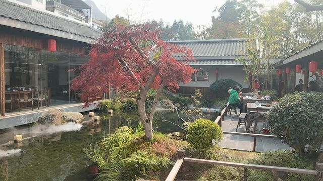 《恭城秋日漫記：柿紅與茶香織就的慢時光》