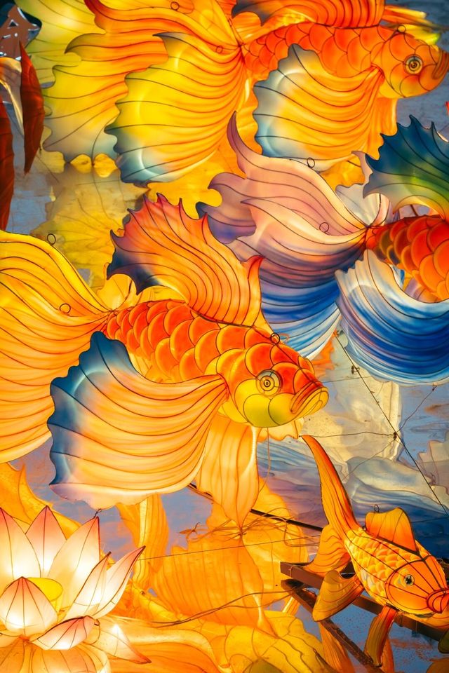 嘉興保姆級一日遊攻略