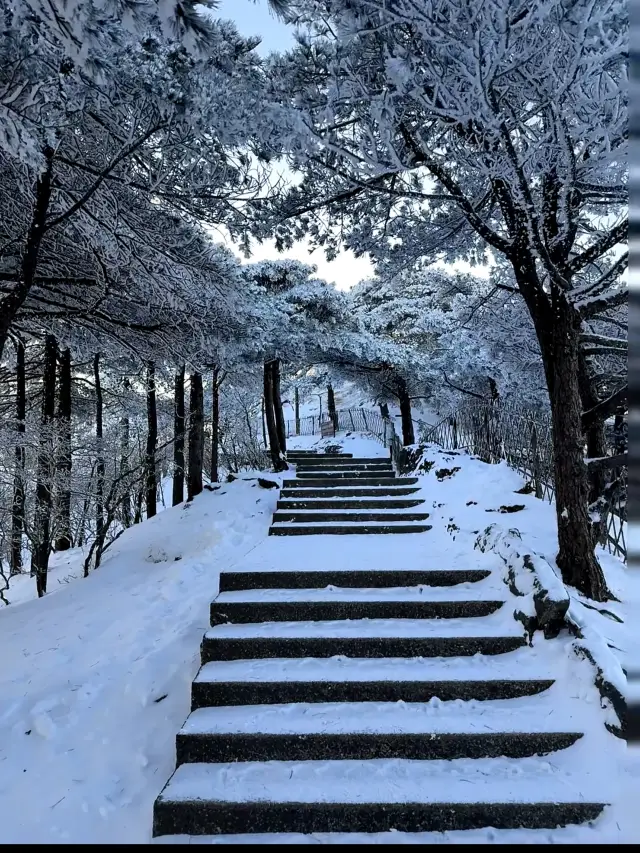 วันนี้ทะเลเมฆสวยงามมากจริงๆ