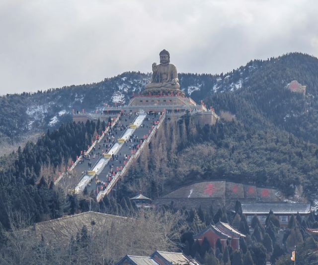 月份的煙台，慘狀！