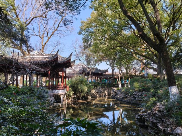 寧波中山公園遇上早春紅梅！