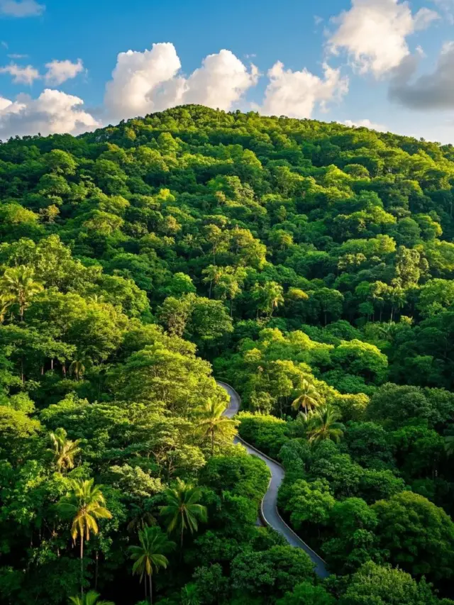 Your trip to Sanya is incomplete without a visit to Yalong Bay Tropical Paradise Forest Park. 