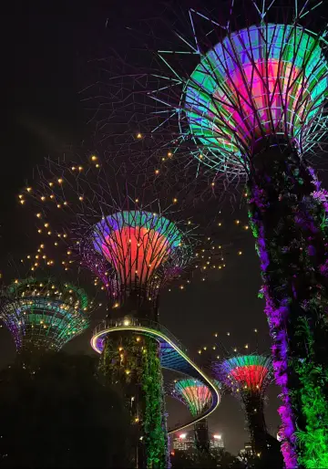 新加坡|濱海灣花園看這篇攻略就夠了