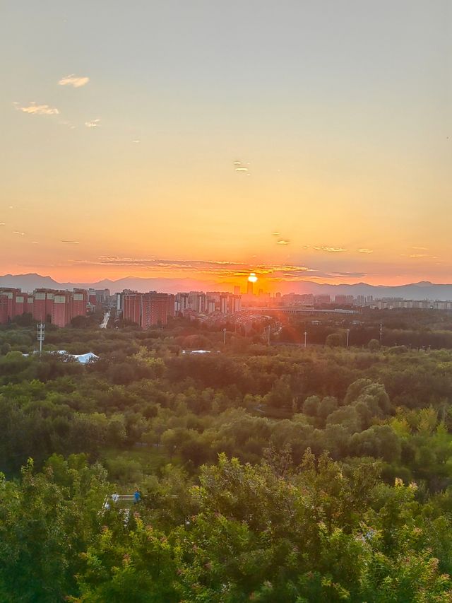 北京新晉最美觀景台｜南苑濕地森林公園飛雁台