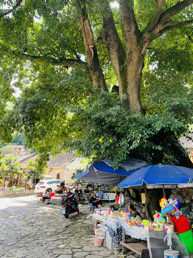 雨補魯天坑，不走尋常路 隱於深山原始村落