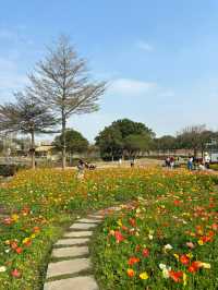 免門票，0元走進七彩莫奈花園～