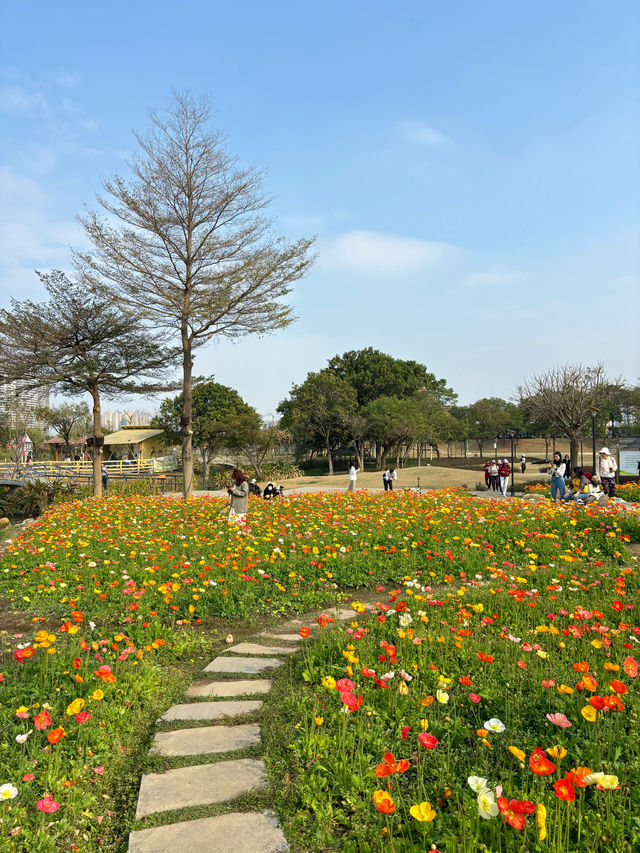 免門票，0元走進七彩莫奈花園～