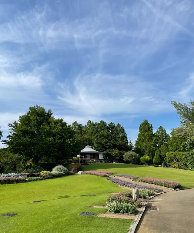 草津市立水生植物公園｜四季畫卷，水生花草繪就的自然詩篇