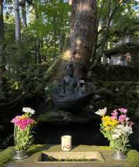 福井永平寺｜隱匿山林，承載禪意的神秘廟宇