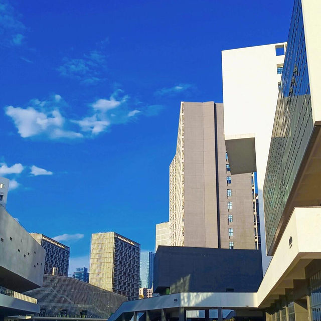 🏫深圳大學，我的夢中情校🥰