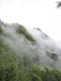 神農架探秘之旅 與國寶大熊貓零距離接觸攻略