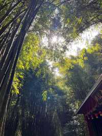 廣東韶關－英德溫泉之旅享受大自然的饋贈